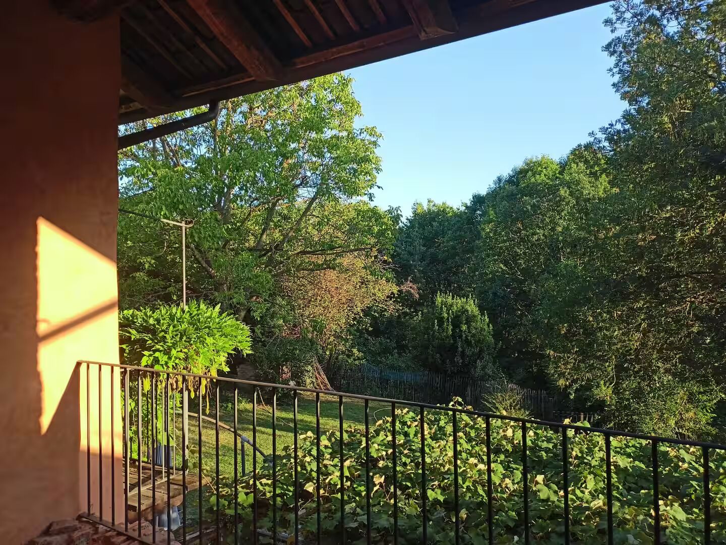 Vista sul bosco dalla veranda al tramonto